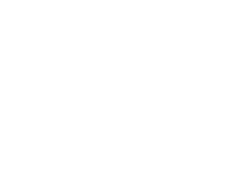 The Excellence Group Logo