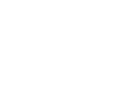 The Excellence Group 1 The Excellence Group Logo
